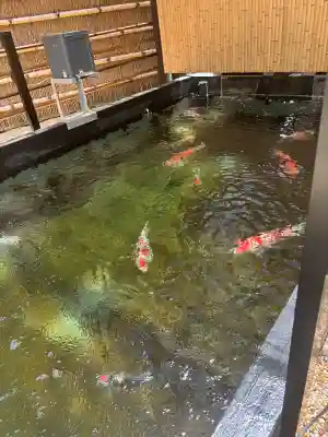 感通寺の{uncategorized: "未分類", other: "その他", undefined: "問題あり", building: "その他建物", grave: "お墓", sacred_gate: "鳥居", guardian: "狛犬", statue: "像", buddha: "仏像", history: "歴史", nature: "自然", garden: "庭園", animal: "動物", pagoda: "塔", temizu: "手水舎", mountain_gate: "山門・神門", sanctuary: "本殿・本堂", subordinate: "末社・摂社", art: "芸術", scenery: "景色", jizo: "地蔵", ema: "絵馬", goshuin: "御朱印", omikuji: "おみくじ", items: "授与品その他", amulet: "お守り", goshuincho: "御朱印帳", eats: "食事", festival: "お祭り", votive_dance: "神楽", shichigosan: "七五三参", wedding: "結婚式", experience: "体験その他", initially: "初詣", around: "周辺", anti_infection: "感染症対策"}