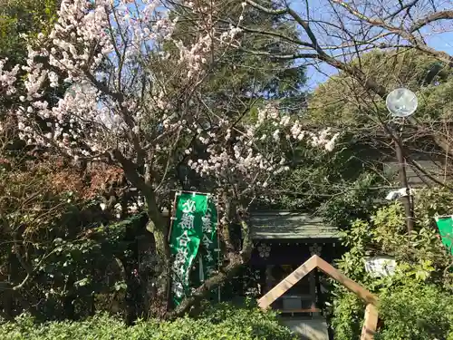 阿佐ヶ谷神明宮(東京都)