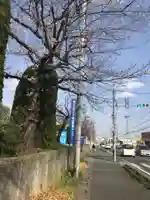 稲荷神社(埼玉県)