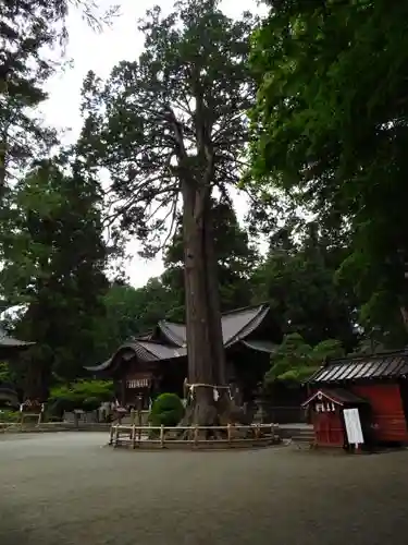 北口本宮冨士浅間神社の建物その他