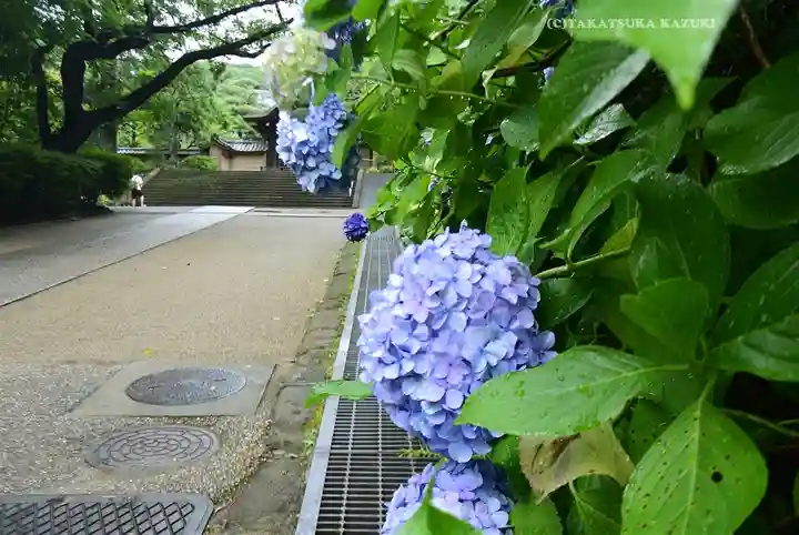 円覚寺(神奈川県)