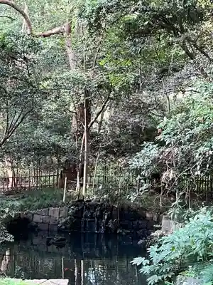 武蔵一宮氷川神社(埼玉県)