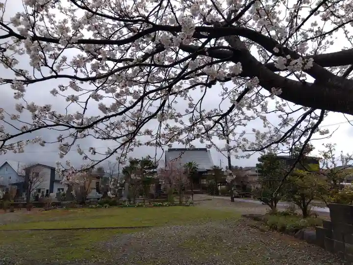 称念寺(新潟県)