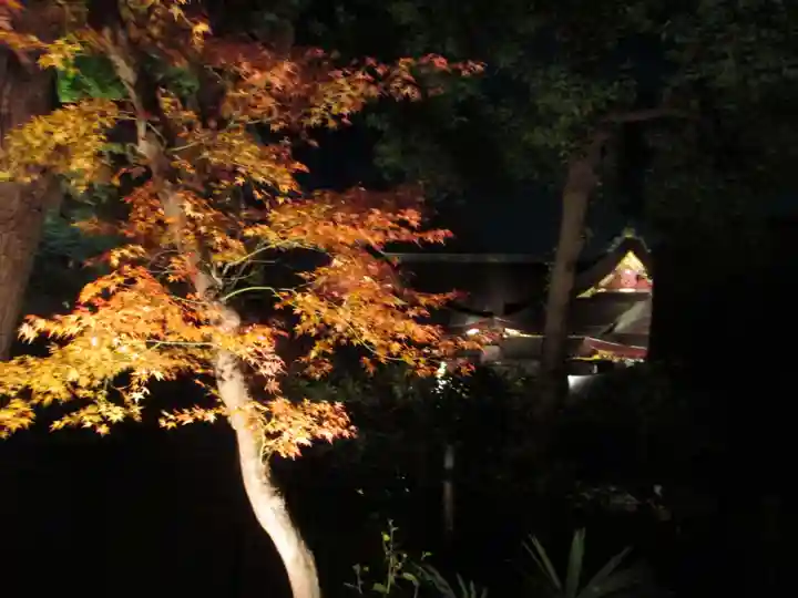 北野天満宮の自然