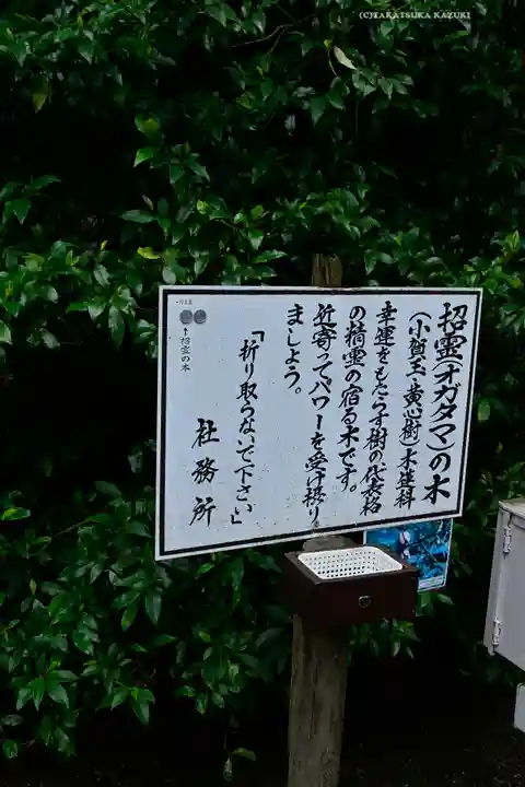 息栖神社(茨城県)