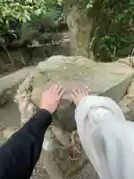 石見国一宮 物部神社(島根県)