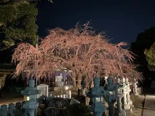 観音神社(広島県)