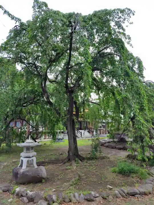 慈眼寺(群馬県)