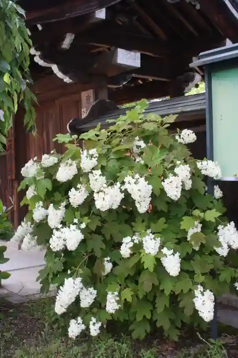 正楽寺(滋賀県)
