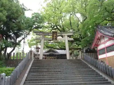 百舌鳥八幡宮の鳥居