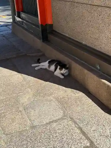 春日神社の動物