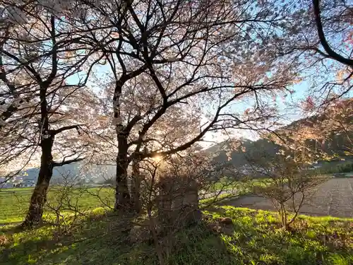 天神宮(伝河原氏屋敷跡)の自然