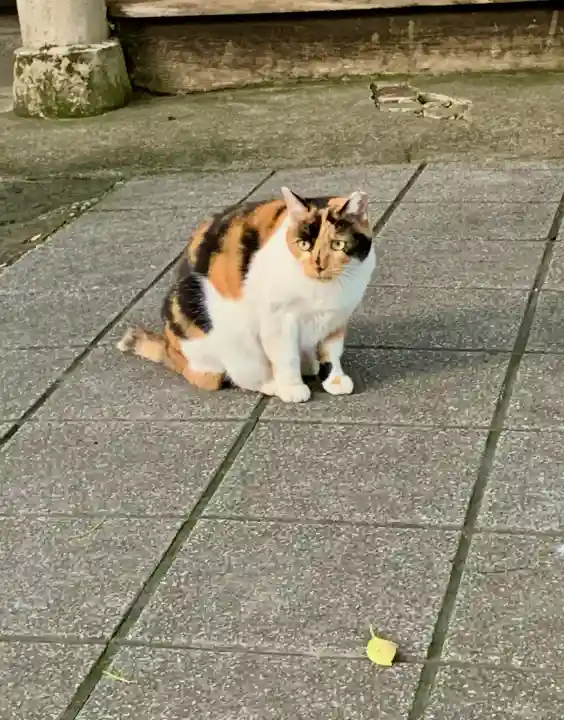 蠣崎神社(宮城県)