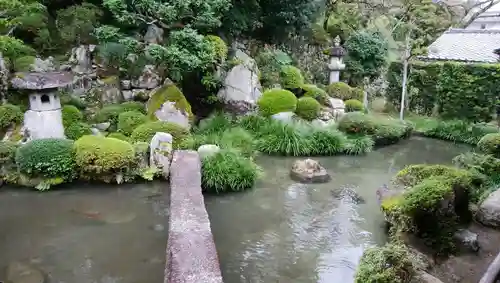 滋賀院門跡の庭園