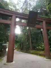 石上神宮の鳥居