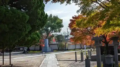 妙顯寺（妙顕寺）(京都府)
