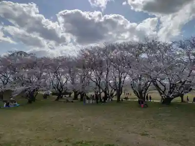 楠大明神(三重県)