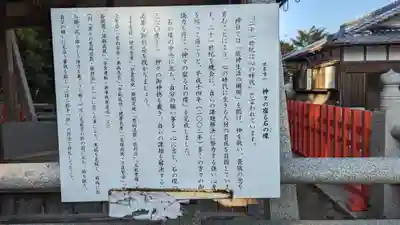 稗田野神社(薭田野神社)(京都府)