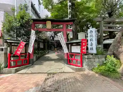 洲嵜神社の鳥居
