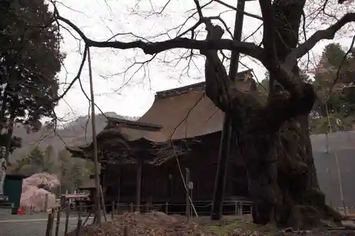 雲峰寺の本殿・本堂