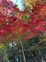 円光寺(三重県)