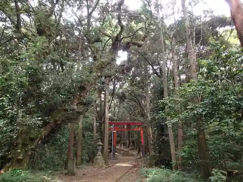 八雲神社の自然