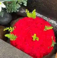 上尾御嶽神社の手水舎