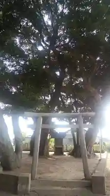 道路衢神の鳥居