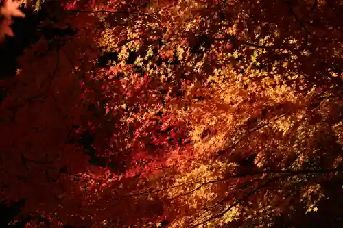 国宝 大法寺の自然