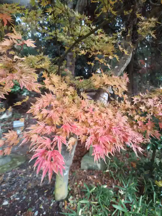 鹿島大神宮(福島県)