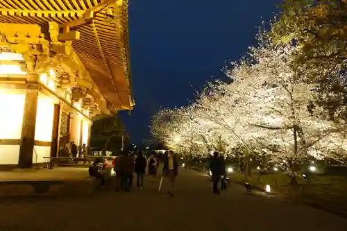 東寺（教王護国寺）(京都府)
