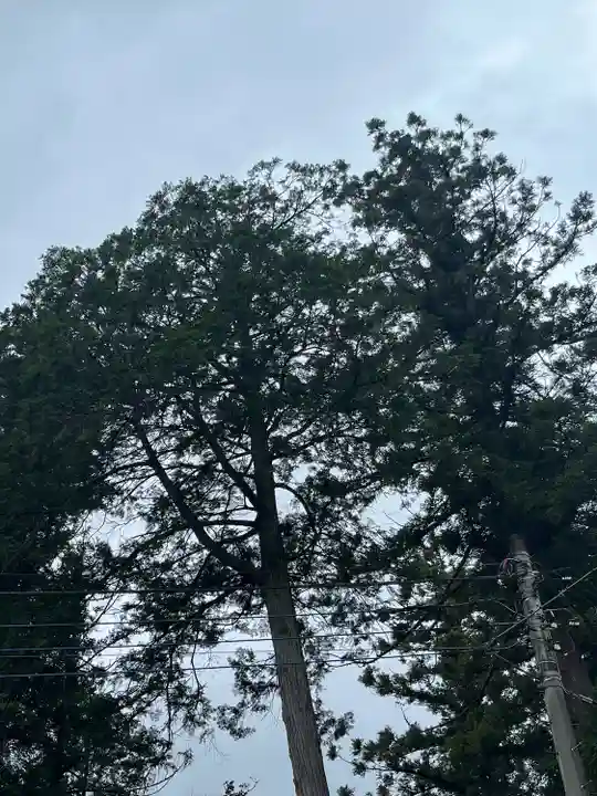 鬼鎮神社(埼玉県)
