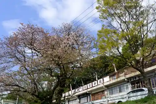 多摩川浅間神社の本殿