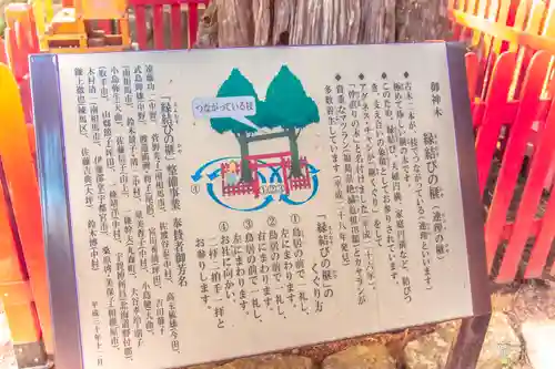涼ケ岡八幡神社の自然