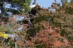 仁和寺(京都府)