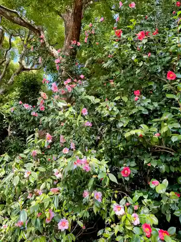 城南宮(京都府)