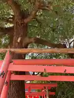 王子神社の鳥居