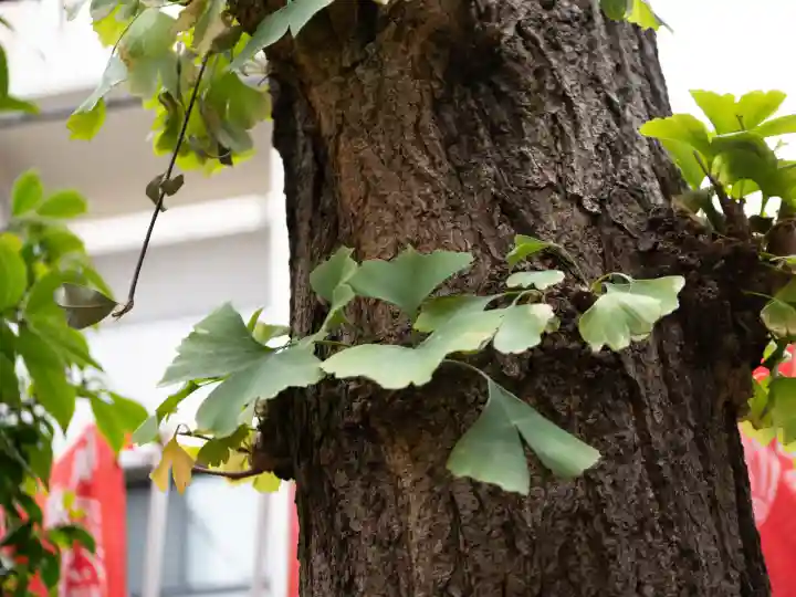 五柱稲荷神社(東京都)