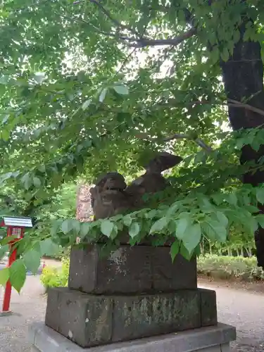 鷲宮神社(埼玉県)