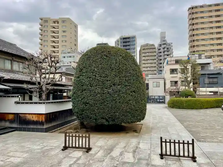 龍光寺(東京都)