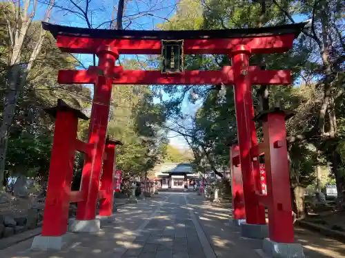 峯ヶ岡八幡神社(埼玉県)