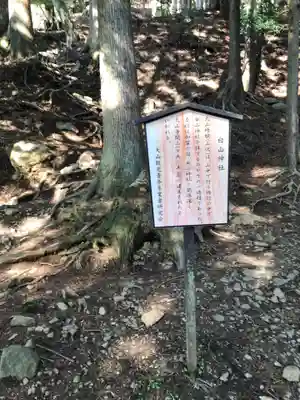 大山阿夫利神社本社の歴史