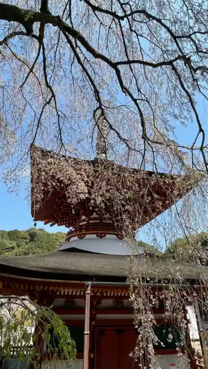 金剛寺のその他建物