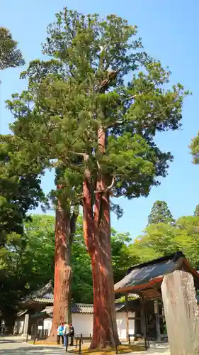 瑞巌寺の自然