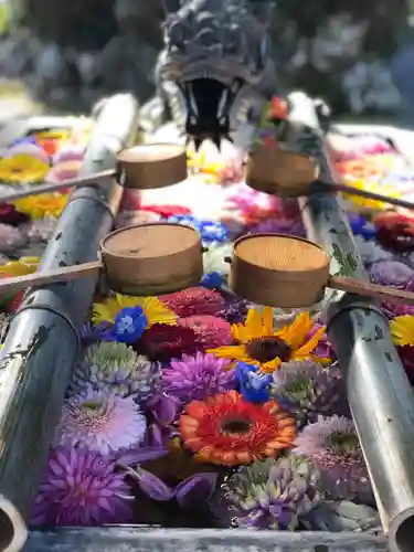 柳谷観音　楊谷寺の手水舎