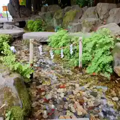 川越氷川神社(埼玉県)