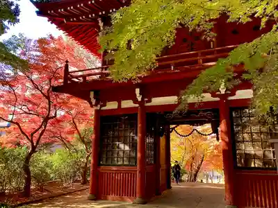 本土寺の山門・神門