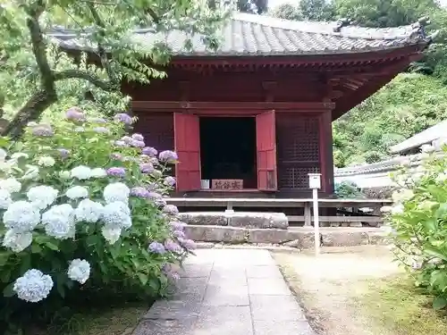 本光寺の本殿・本堂