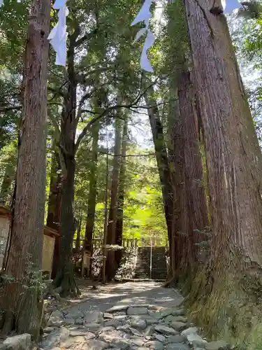 萩日吉神社(埼玉県)
