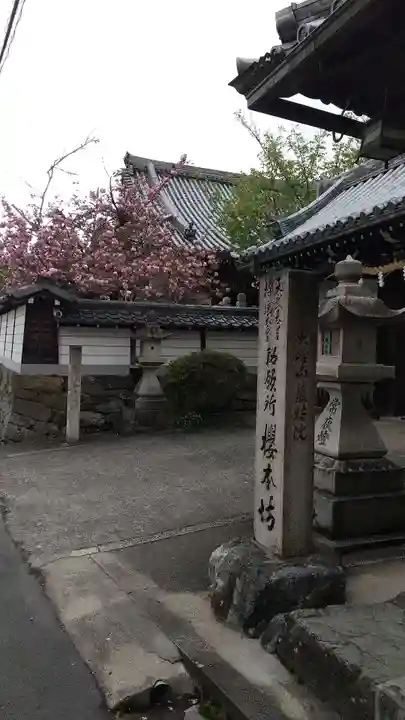 櫻本坊のその他建物